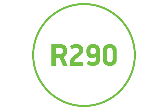 R290